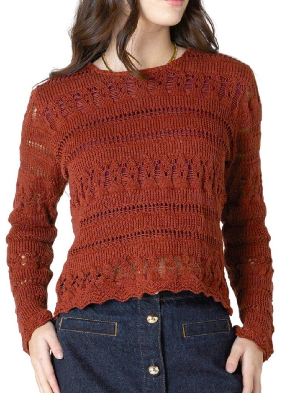 DEX CLOTHING Crochet Crewneck Sweater in Burnt Orange L 1X